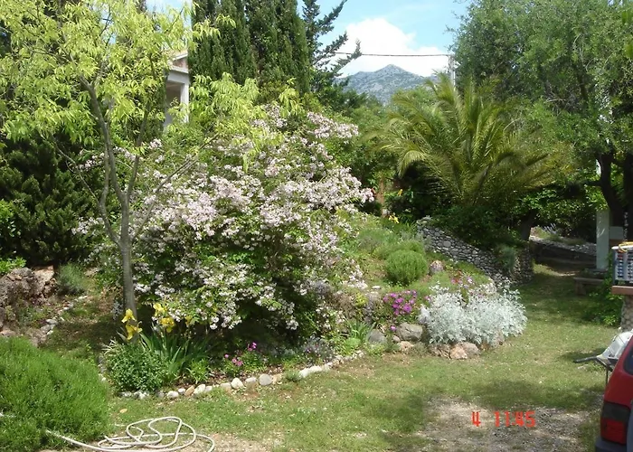In Starigrad-paklenica 6797